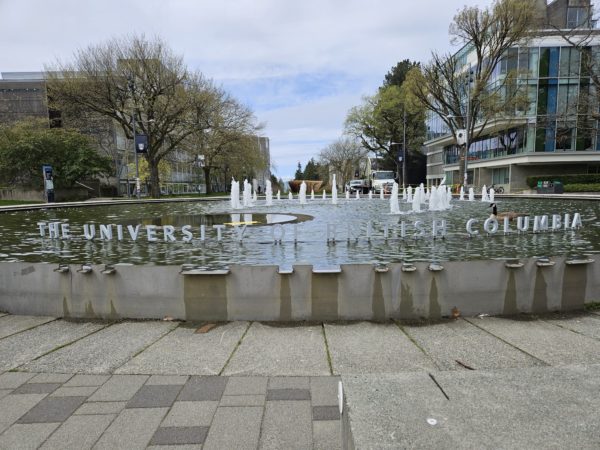 Fountain at UBC with Canadian goose.