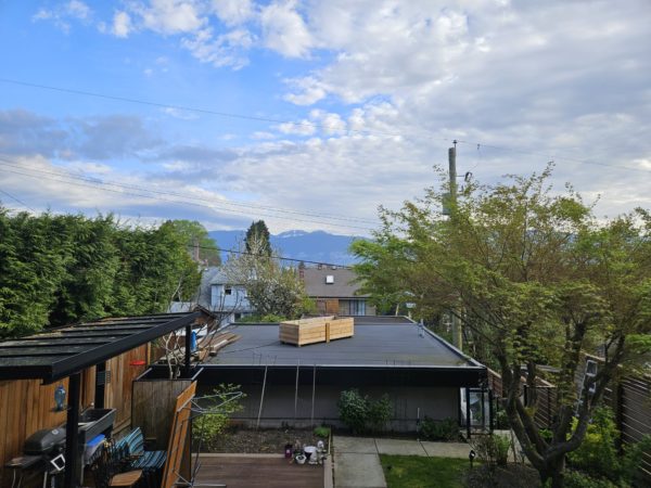 View of back yard and snowcapped mountains from living room.