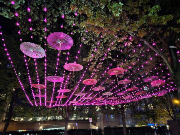 The latest iteration of public art display "Underbrellas" at Bill Curtis Square showing parasols hanging from wires, all lit up in pink.