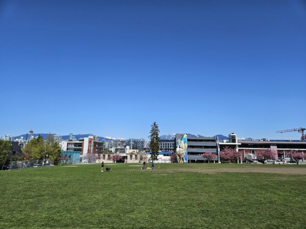 View of green grass and blue skies at Jonathan Rogers Park.